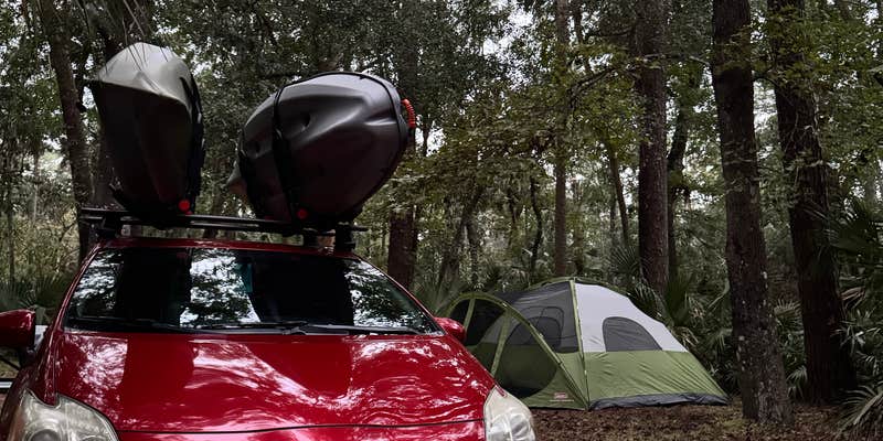 Camper submitted image from Juniper Springs Rec Area - Fern Hammock Springs