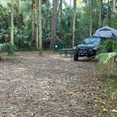 Review photo of Juniper Springs Rec Area - Fern Hammock Springs by Roger W., December 4, 2023