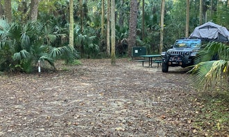 Camping near Alexander Springs Recreation Area: Juniper Springs Rec Area - Fern Hammock Springs, Ocala National Forest, Florida