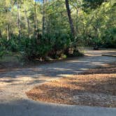 Review photo of Juniper Springs Rec Area - Sandpine by Roger W., December 3, 2023