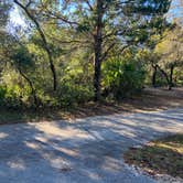 Review photo of Juniper Springs Rec Area - Sandpine by Roger W., December 3, 2023