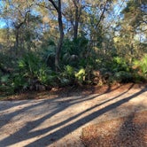 Review photo of Juniper Springs Rec Area - Sandpine by Roger W., December 3, 2023