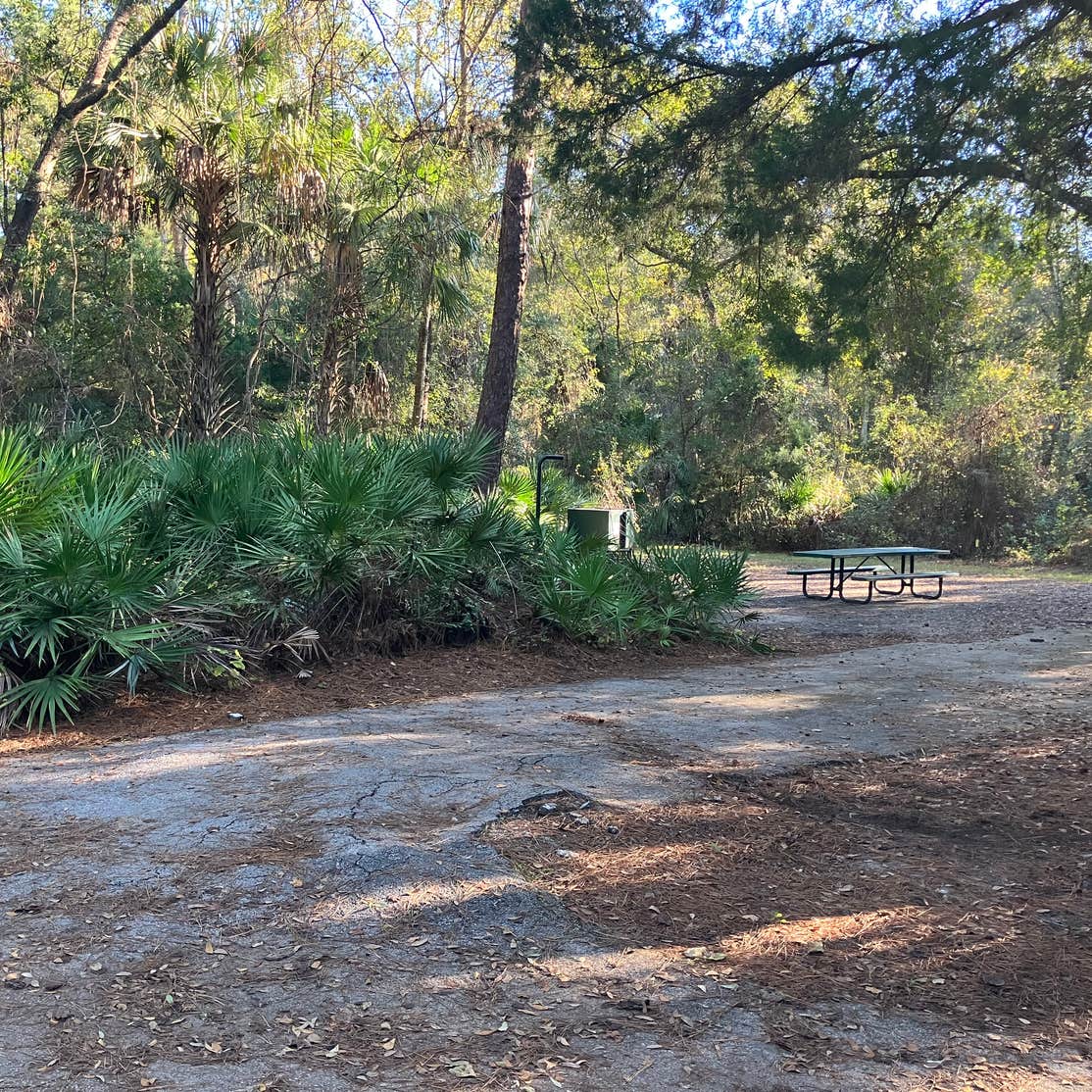 Juniper Springs Rec Area - Sandpine Camping | Ocala National Forest ...