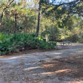 Review photo of Juniper Springs Rec Area - Sandpine by Roger W., December 3, 2023