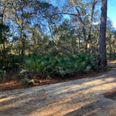 Review photo of Juniper Springs Rec Area - Sandpine by Roger W., December 3, 2023