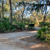 Review photo of Juniper Springs Rec Area - Sandpine by Roger W., December 3, 2023