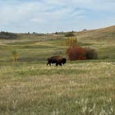 Review photo of Juniper Campground — Theodore Roosevelt National Park by Cable A., October 20, 2025