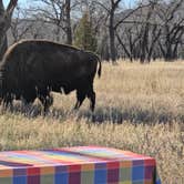 Review photo of Juniper Campground — Theodore Roosevelt National Park by Tammy P., May 25, 2025