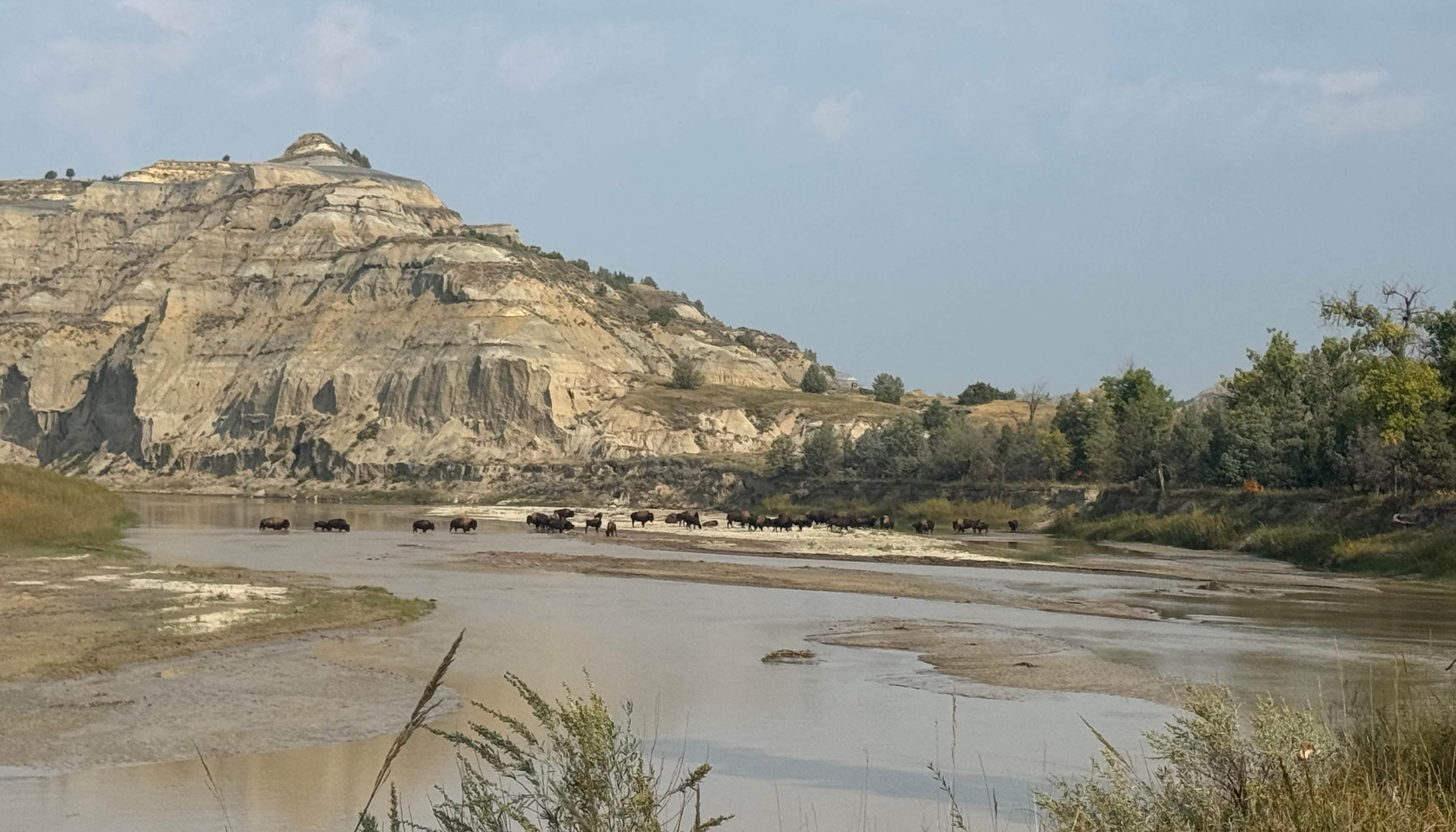 Theodore Roosevelt National Park