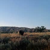 Review photo of Juniper Campground — Theodore Roosevelt National Park by Stephanie W., August 2, 2024