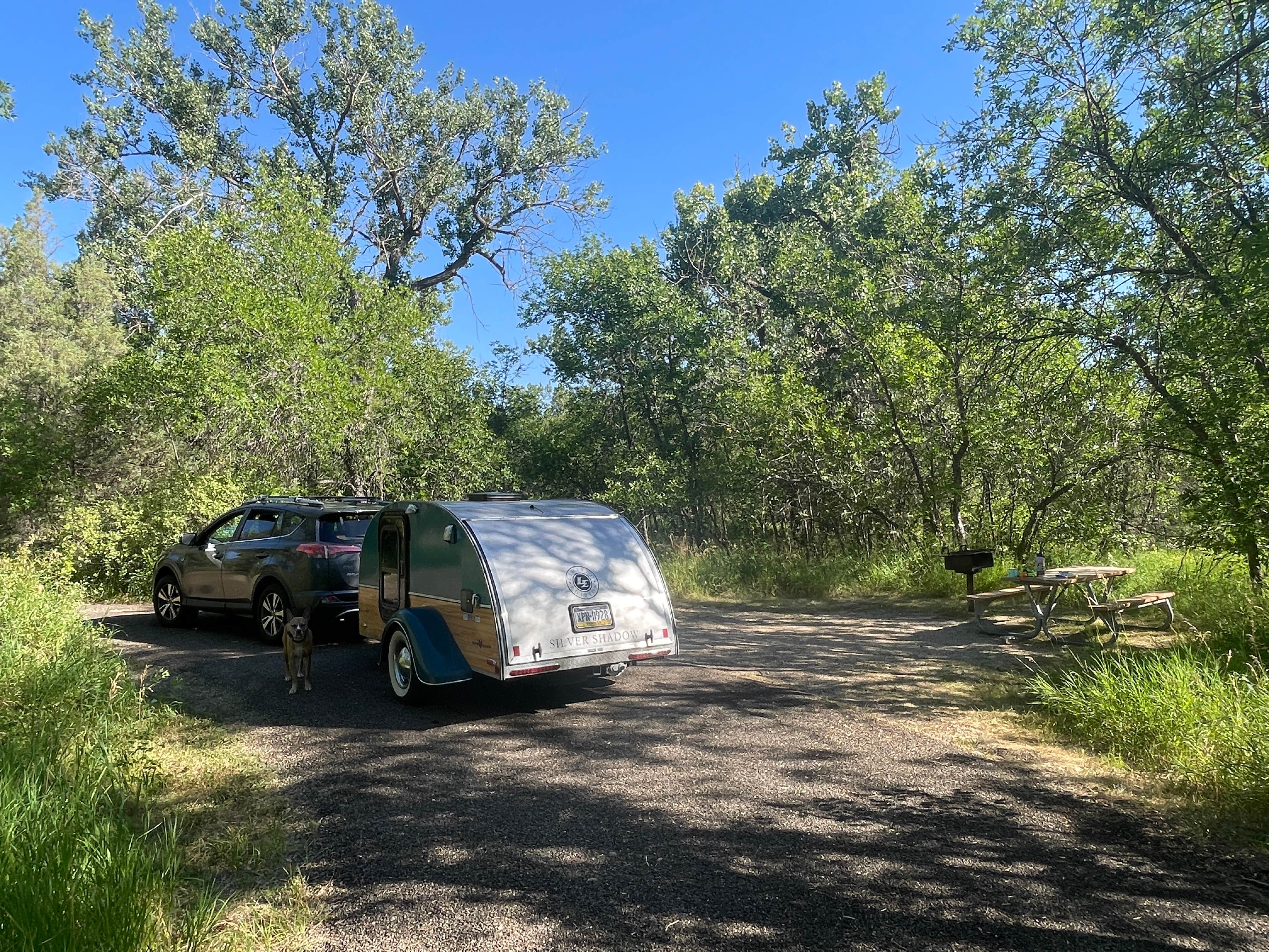 Stephanie W.'s photo of camping with pets at Juniper Campground — Theodore Roosevelt National Park near Sidney, MT