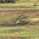 Review photo of Juniper Campground — Theodore Roosevelt National Park by Cable A., October 20, 2025