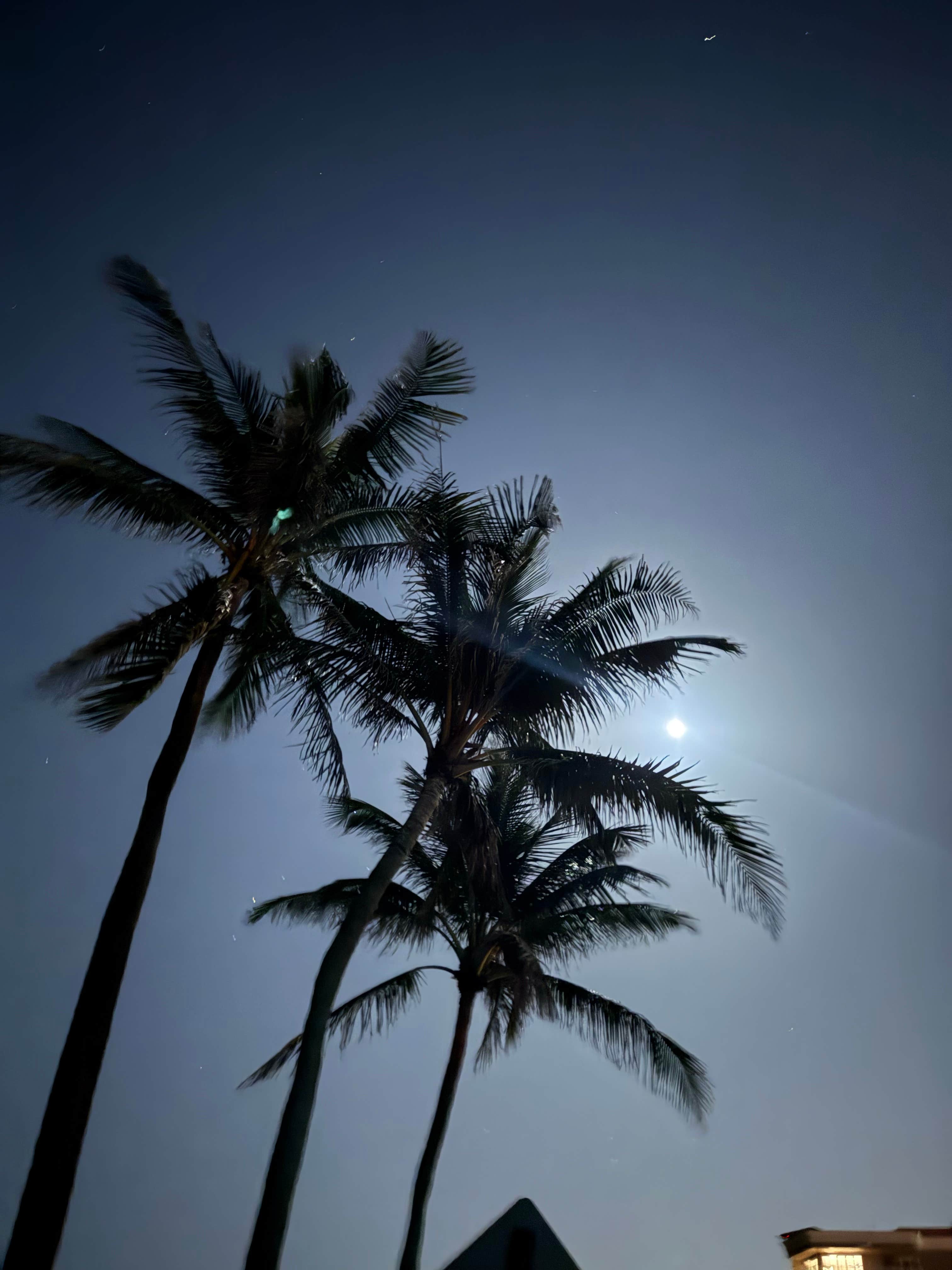 Camper-submitted photo at Juno Ocean Walk RV Resort near Jupiter, FL