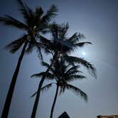 Review photo of Juno Ocean Walk RV Resort by Andrew H., June 9, 2025