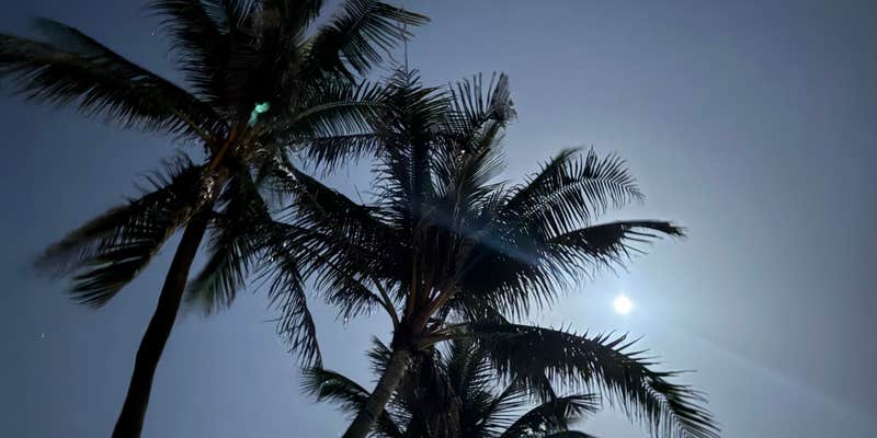 Camper submitted image from Juno Ocean Walk RV Resort