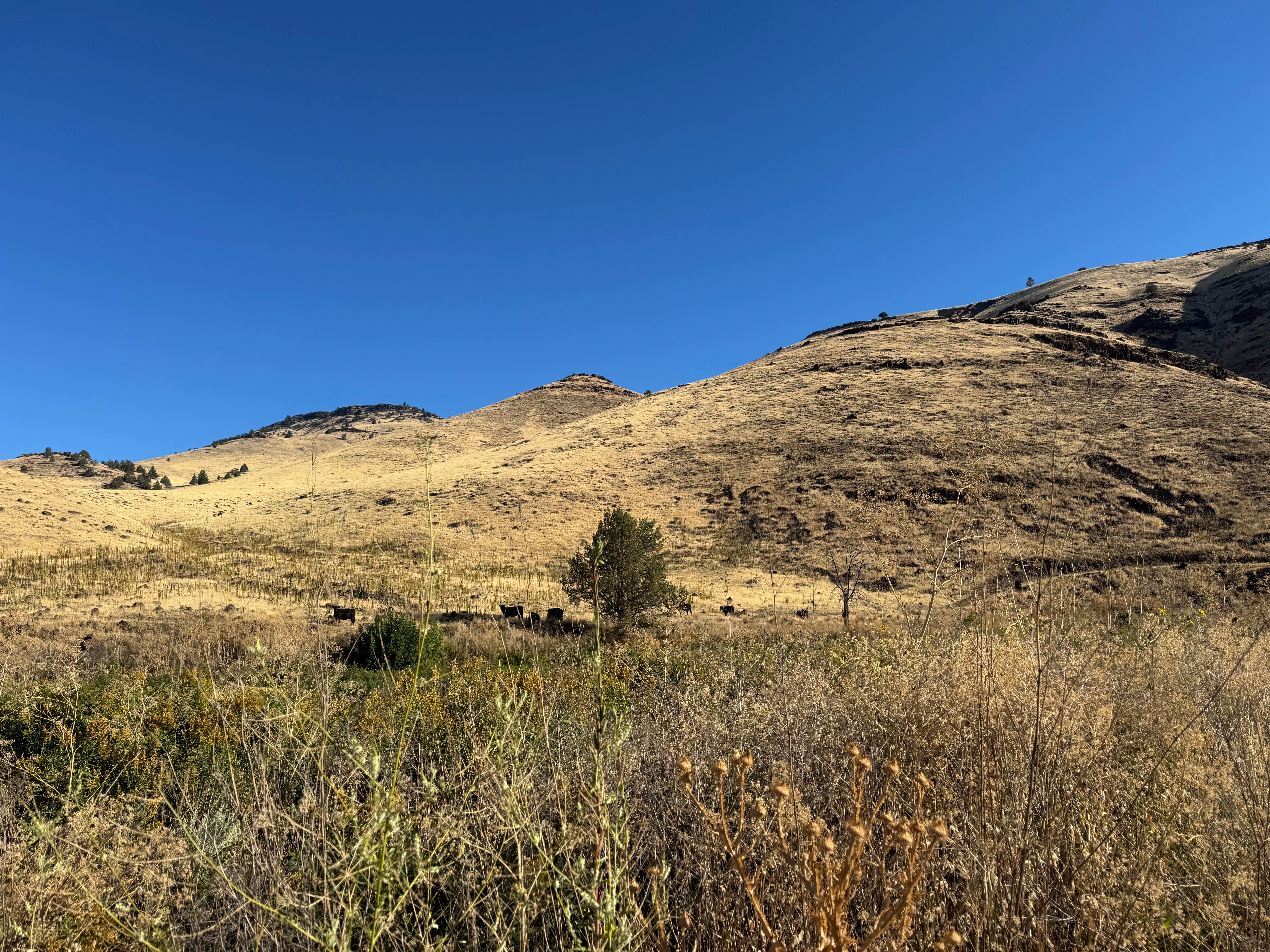 Camper-submitted photo at Juntura Hot Springs Dispersed near Harper, OR