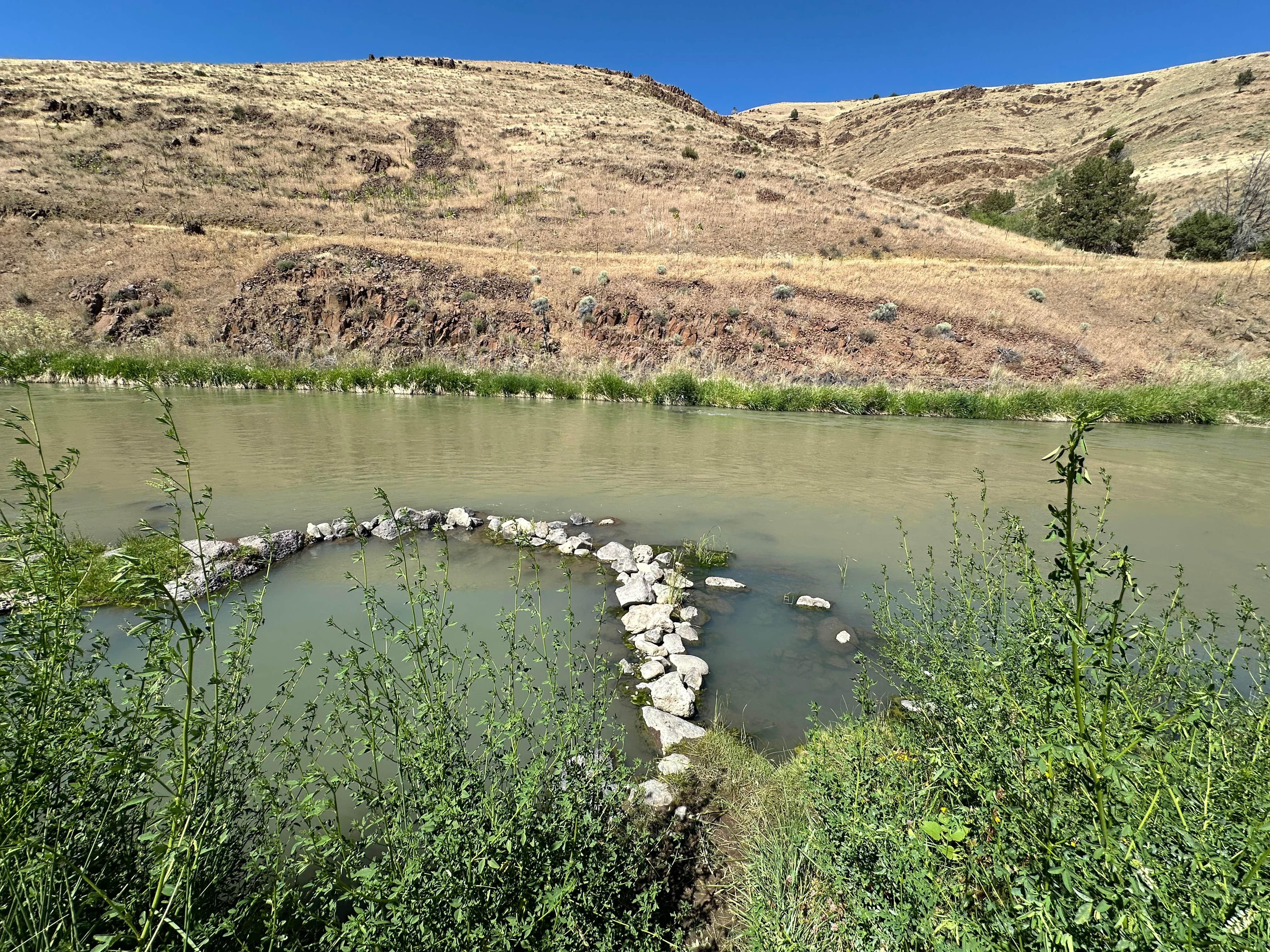 Camper-submitted photo at Juntura Hot Springs Dispersed near Malheur National Forest
