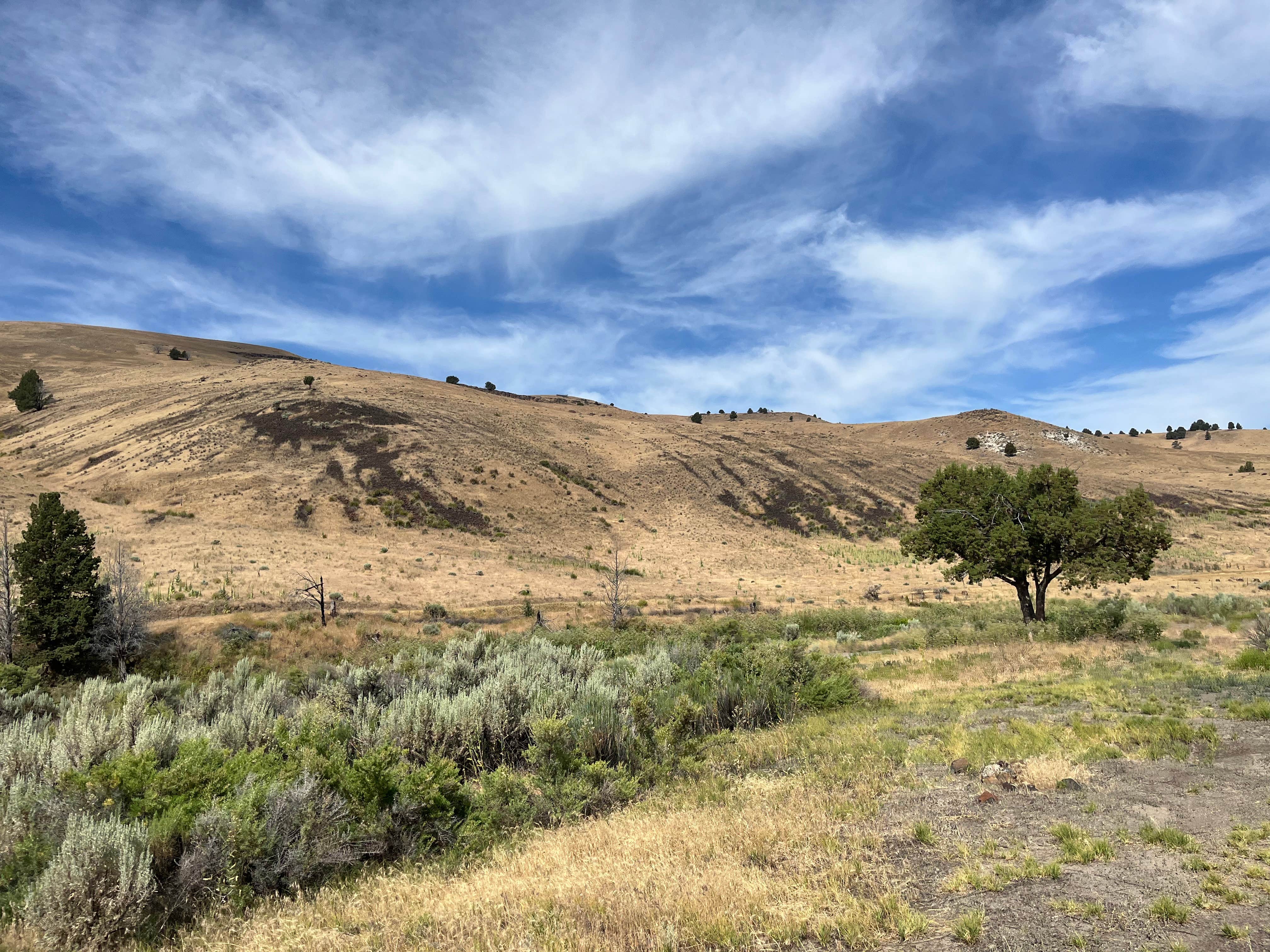 Camper-submitted photo at Juntura Hot Springs Dispersed near Harper, OR