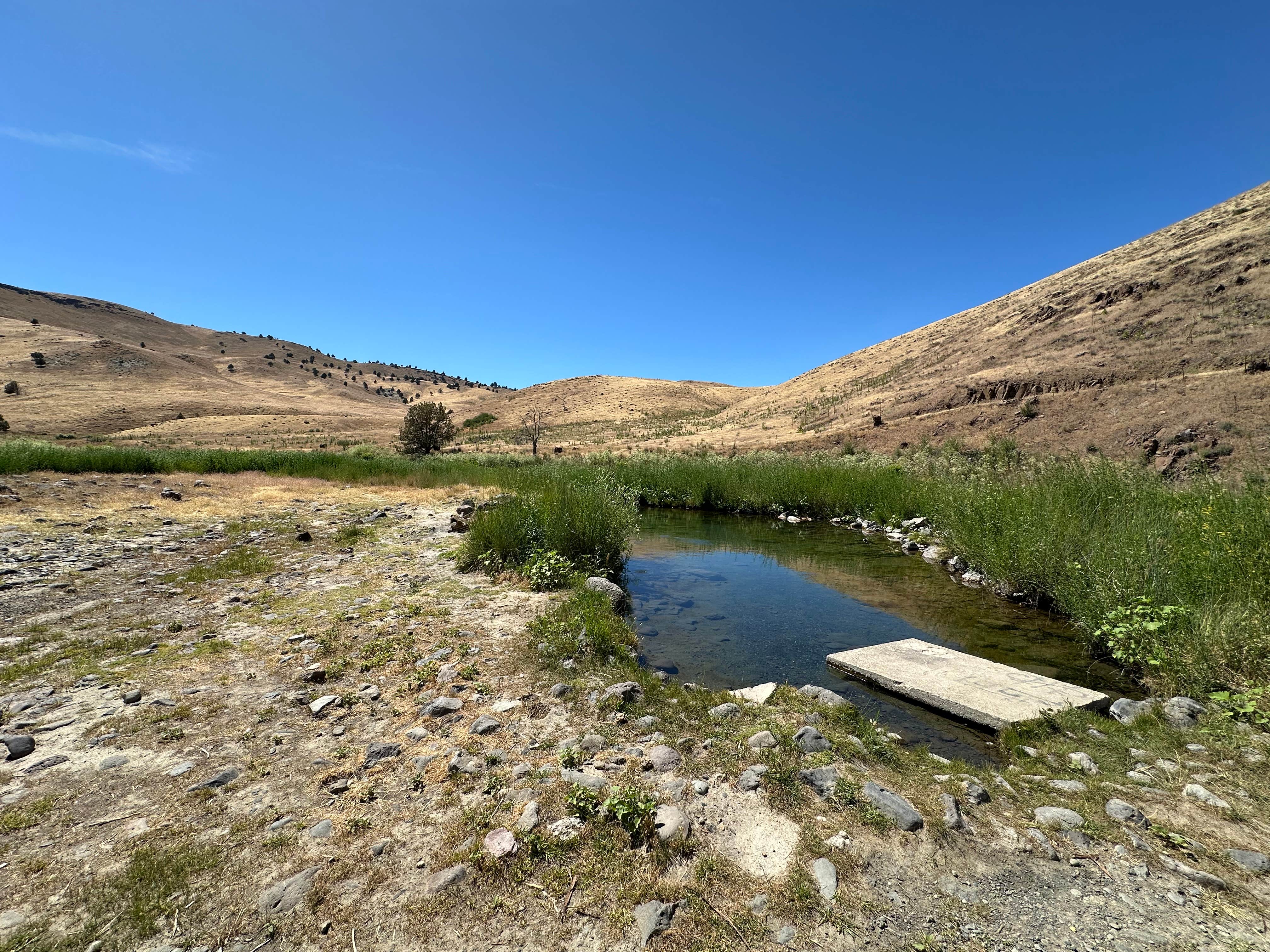 Camper-submitted photo at Juntura Hot Springs Dispersed near Malheur National Forest