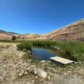 Review photo of Juntura Hot Springs Dispersed by Bruce S., June 28, 2026