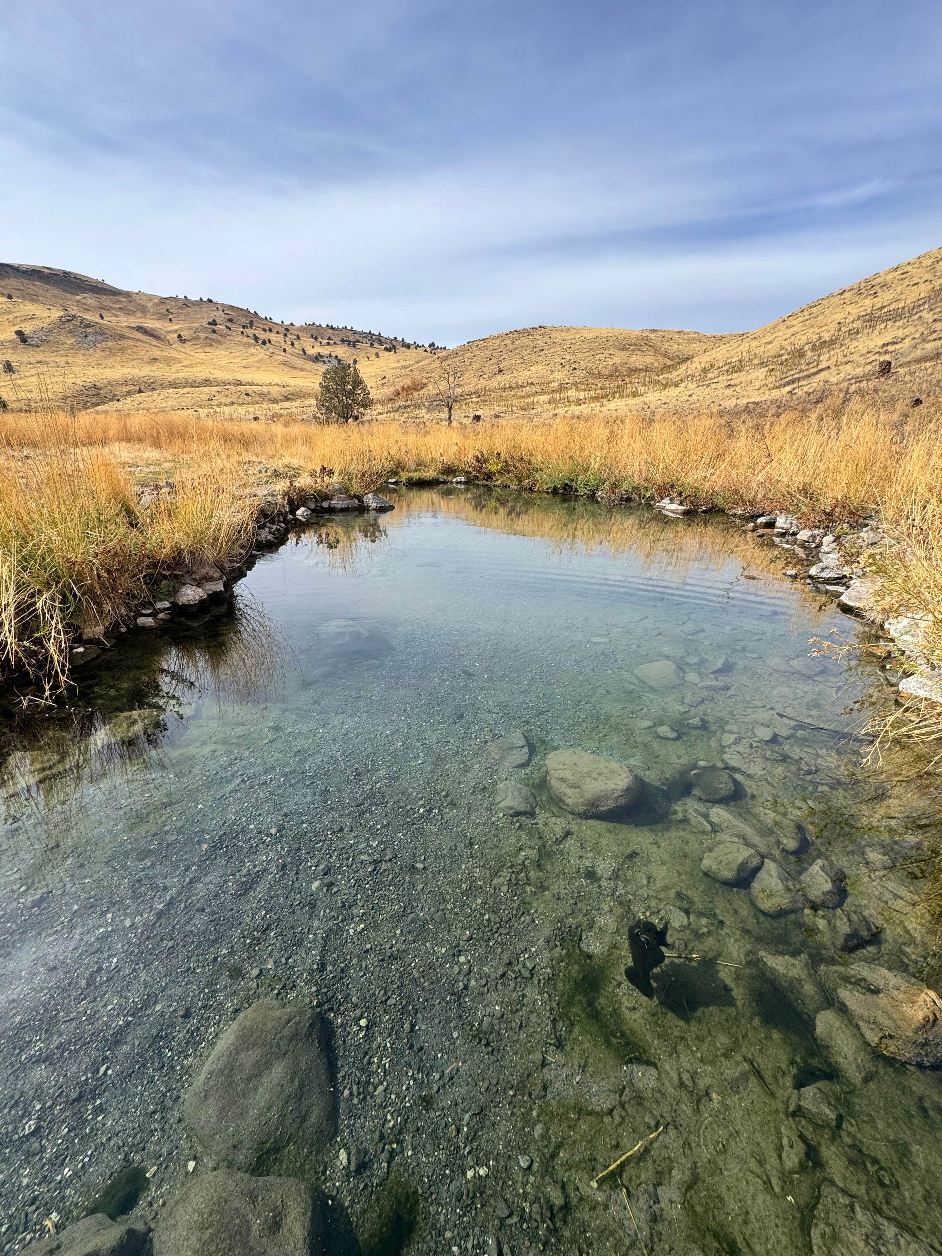 Camper-submitted photo at Juntura Hot Springs Dispersed near Harper, OR