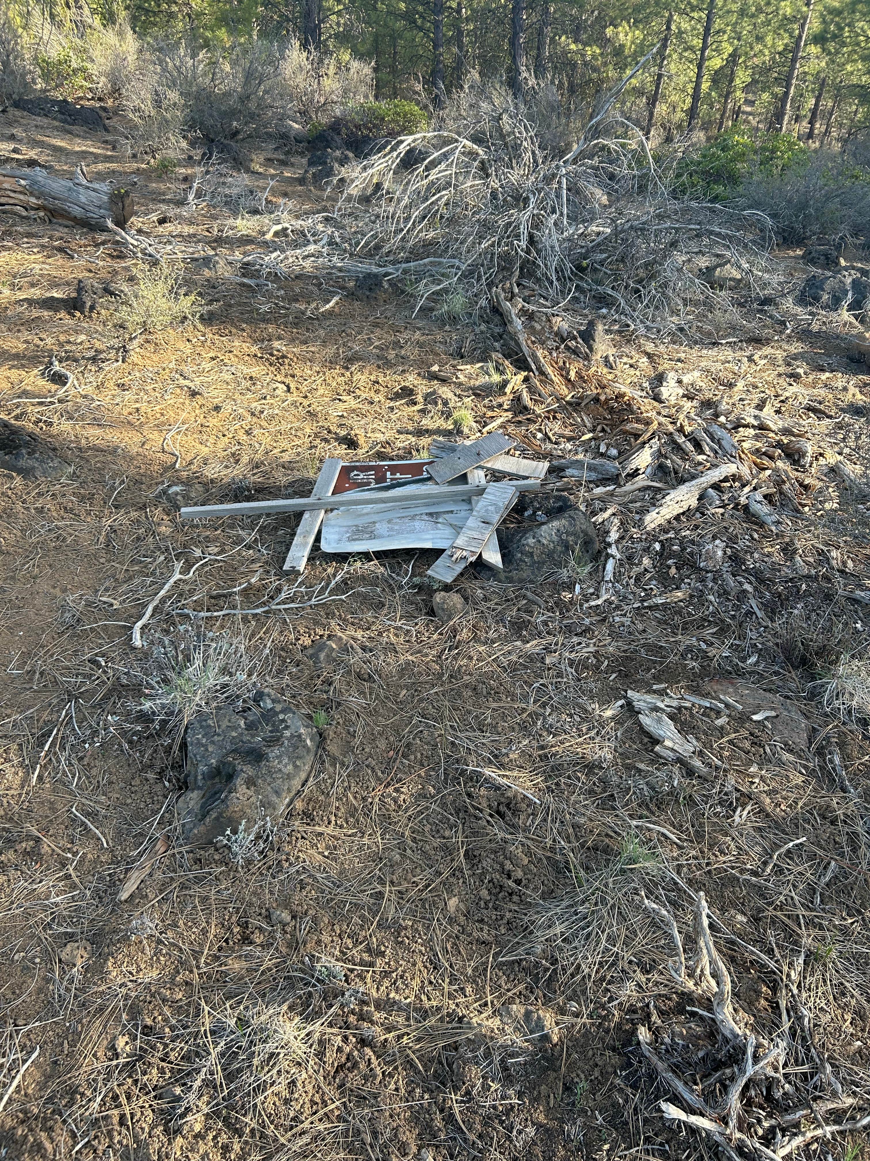 Camper submitted image from Dispersed Site - just a great place off the highway - 4