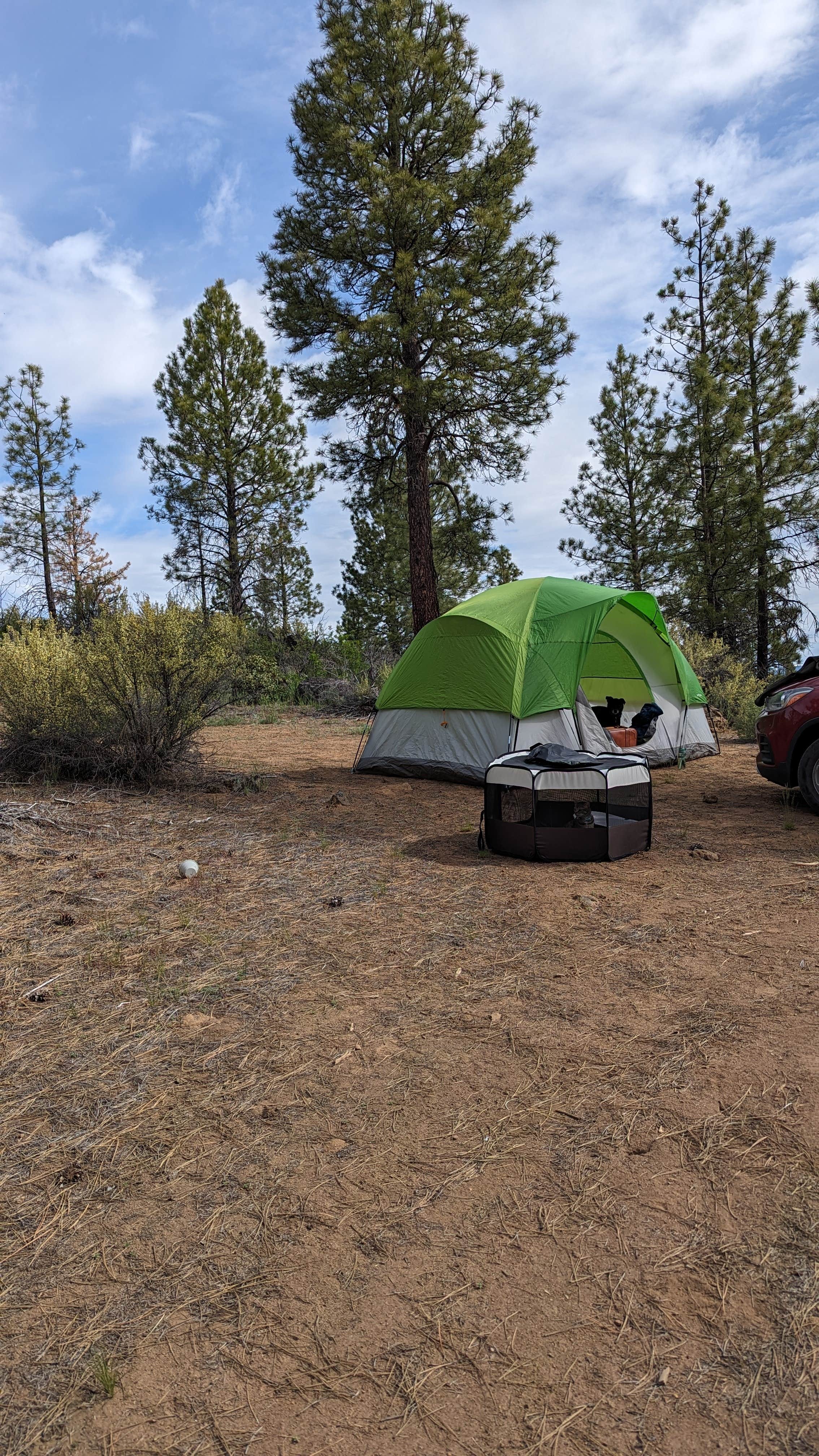 Camping near Kla-Mo-Ya Casino and Travel Center: Dispersed Site - just a great place off the highway, Chiloquin, Oregon