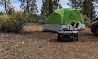 Camping near Forest Road 3237: Dispersed Site - just a great place off the highway, Chiloquin, Oregon