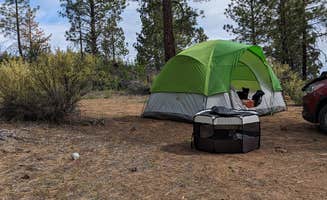 Rosealine F.'s photo at Dispersed Site - just a great place off the highway near Klamath Falls, OR