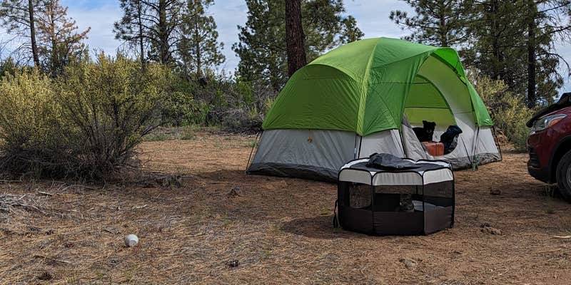 Camper submitted image from Dispersed Site - just a great place off the highway