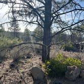 Review photo of Dispersed Site - just a great place off the highway by Dylan B., April 16, 2025