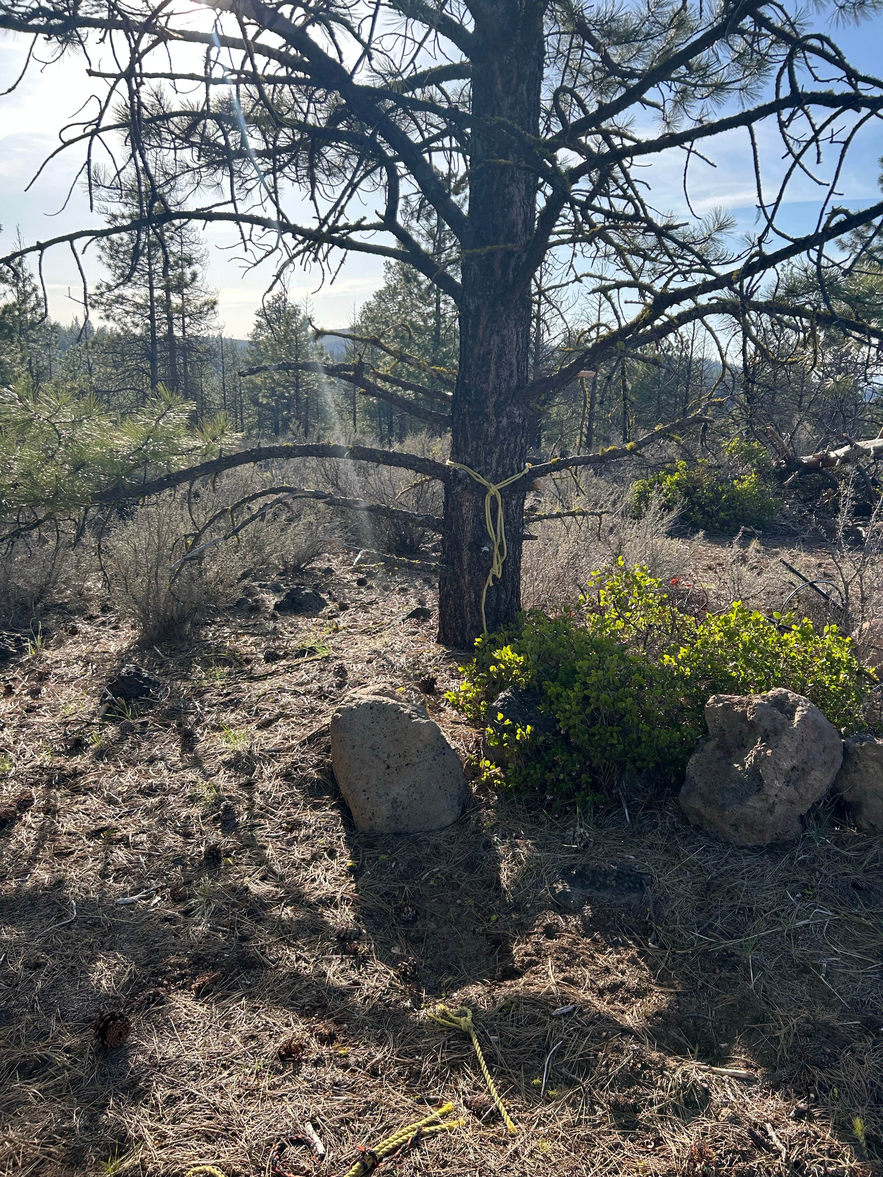 Camper submitted image from Dispersed Site - just a great place off the highway - 2