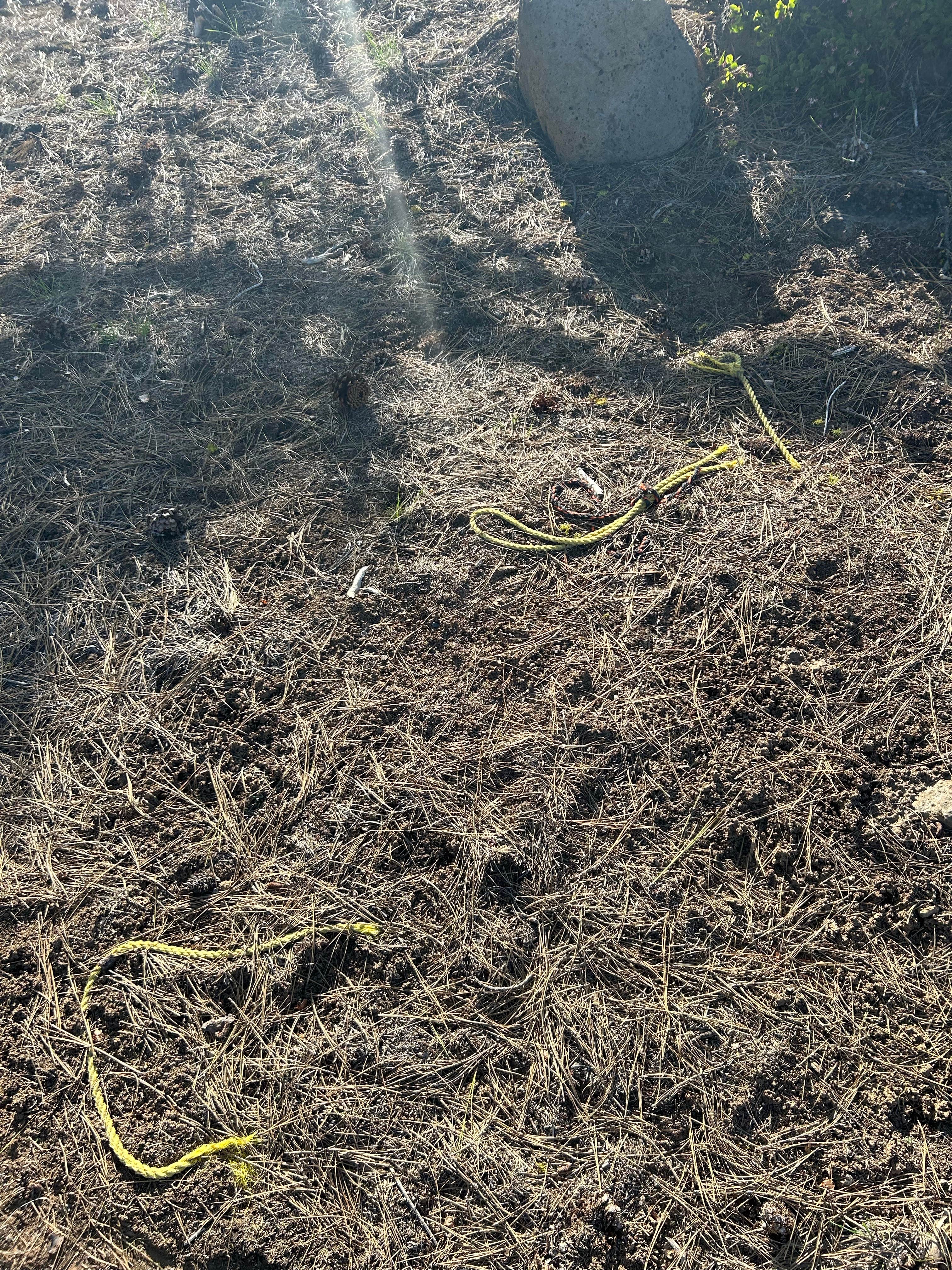 Camper-submitted photo at Dispersed Site - just a great place off the highway near Klamath Falls, OR