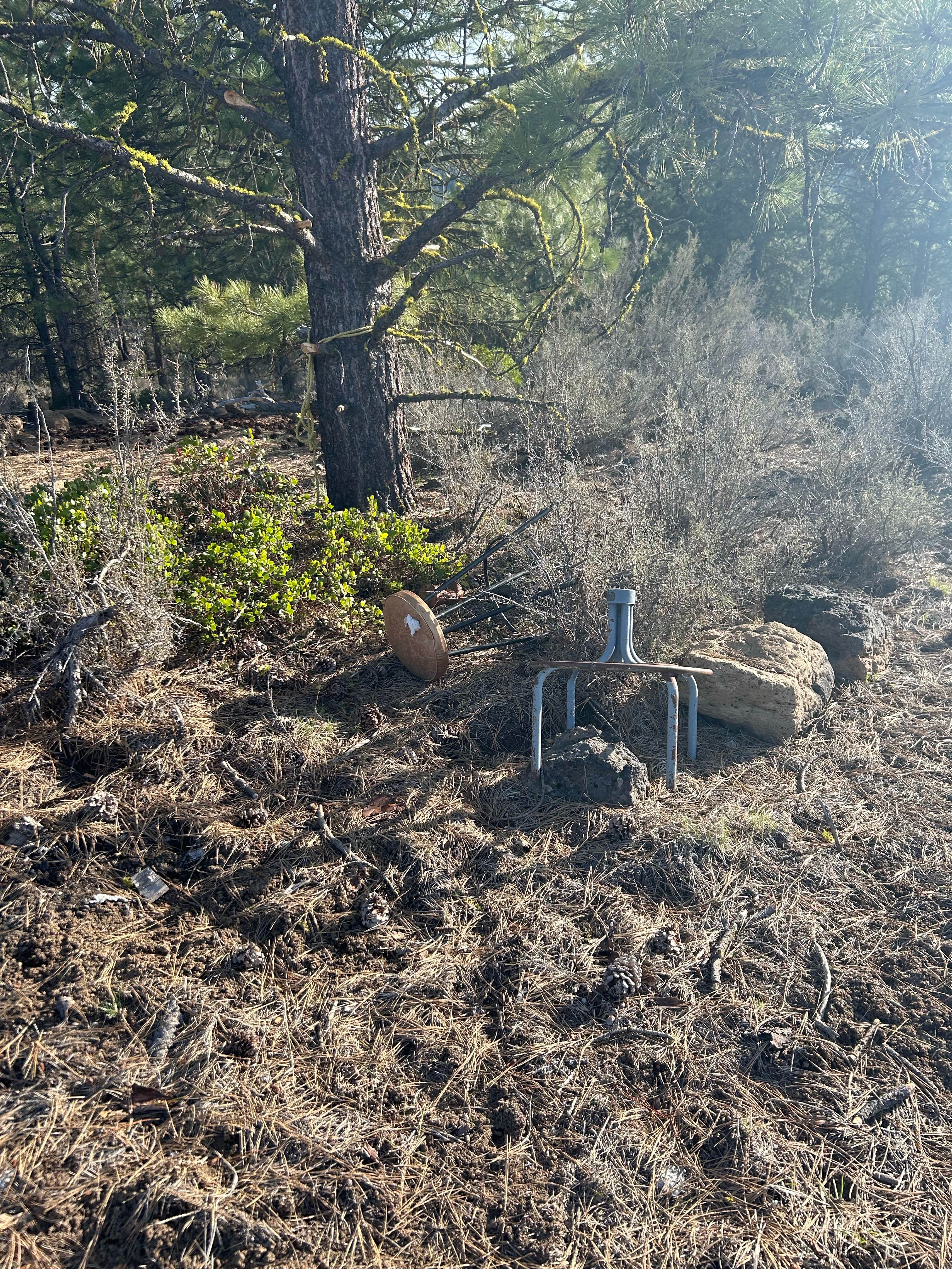 Camper-submitted photo at Dispersed Site - just a great place off the highway near Klamath Falls, OR
