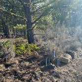 Review photo of Dispersed Site - just a great place off the highway by Dylan B., April 16, 2025