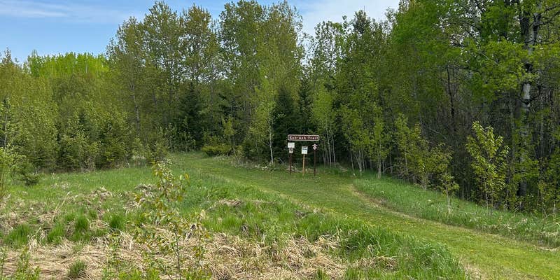 Camper submitted image from Kab-Ash Trail Dispersed Campsites