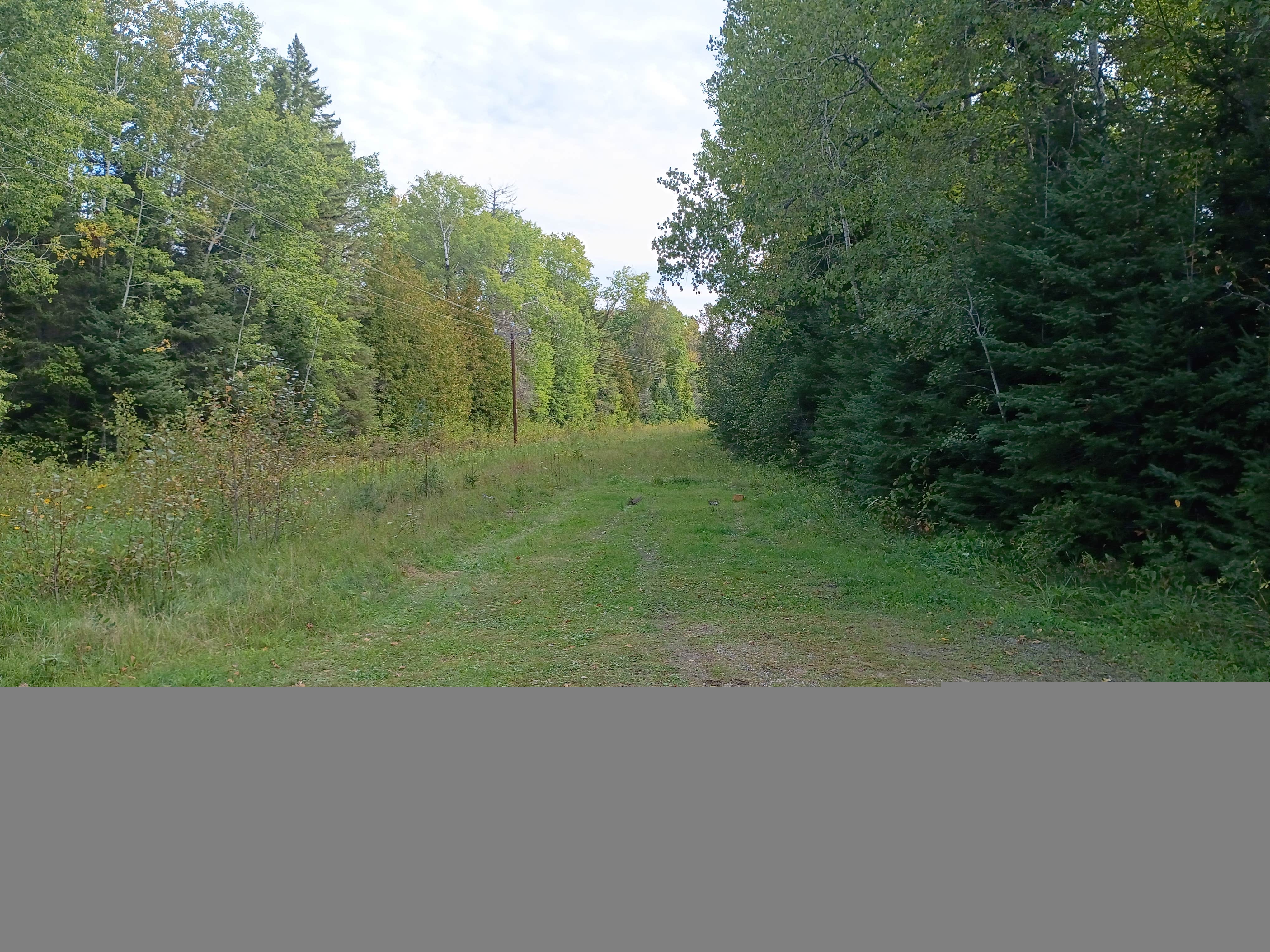 Camper-submitted photo at Kab-Ash Trail Dispersed Campsites near Tower, MN