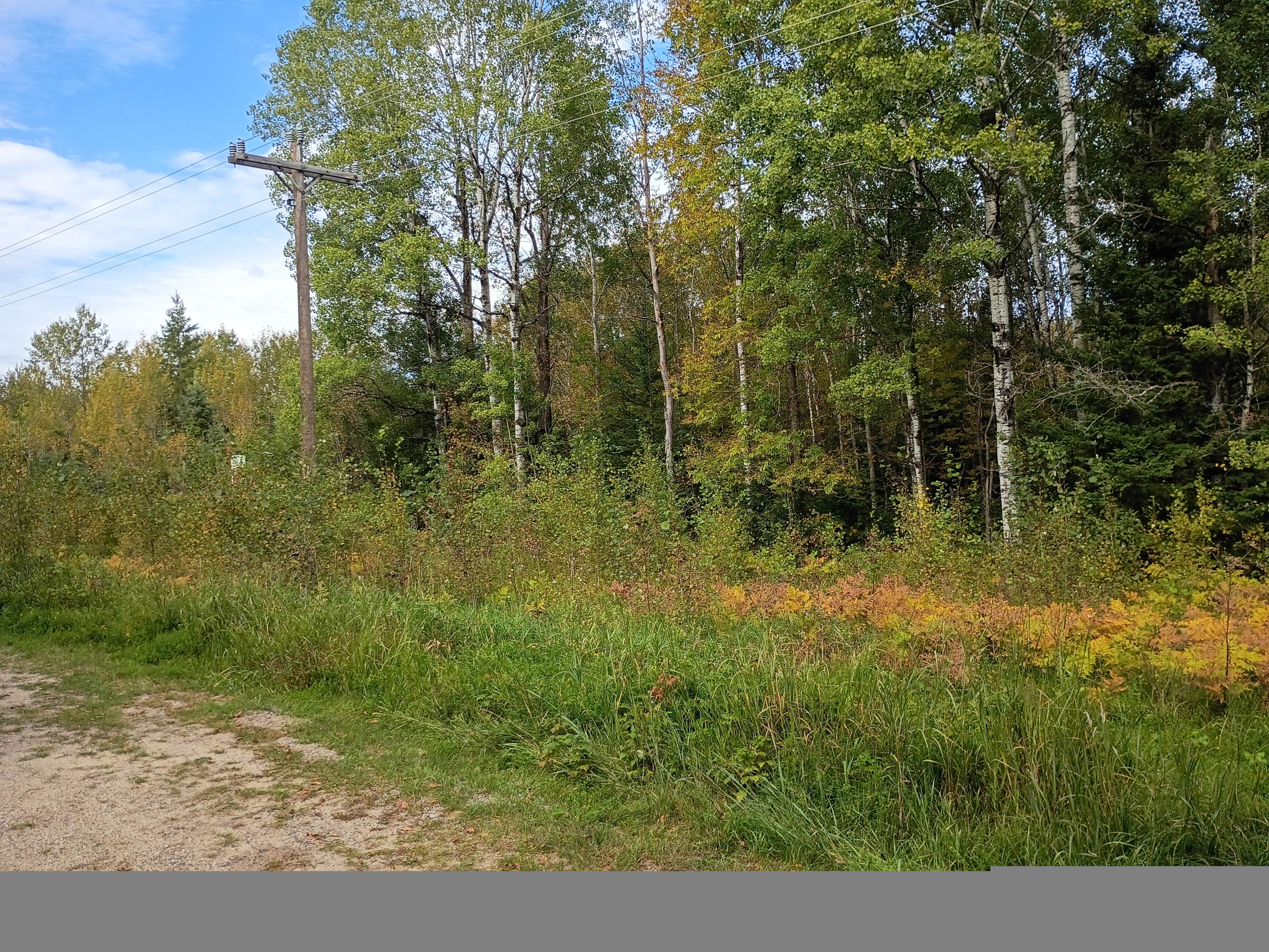 Camper-submitted photo at Kab-Ash Trail Dispersed Campsites near Tower, MN