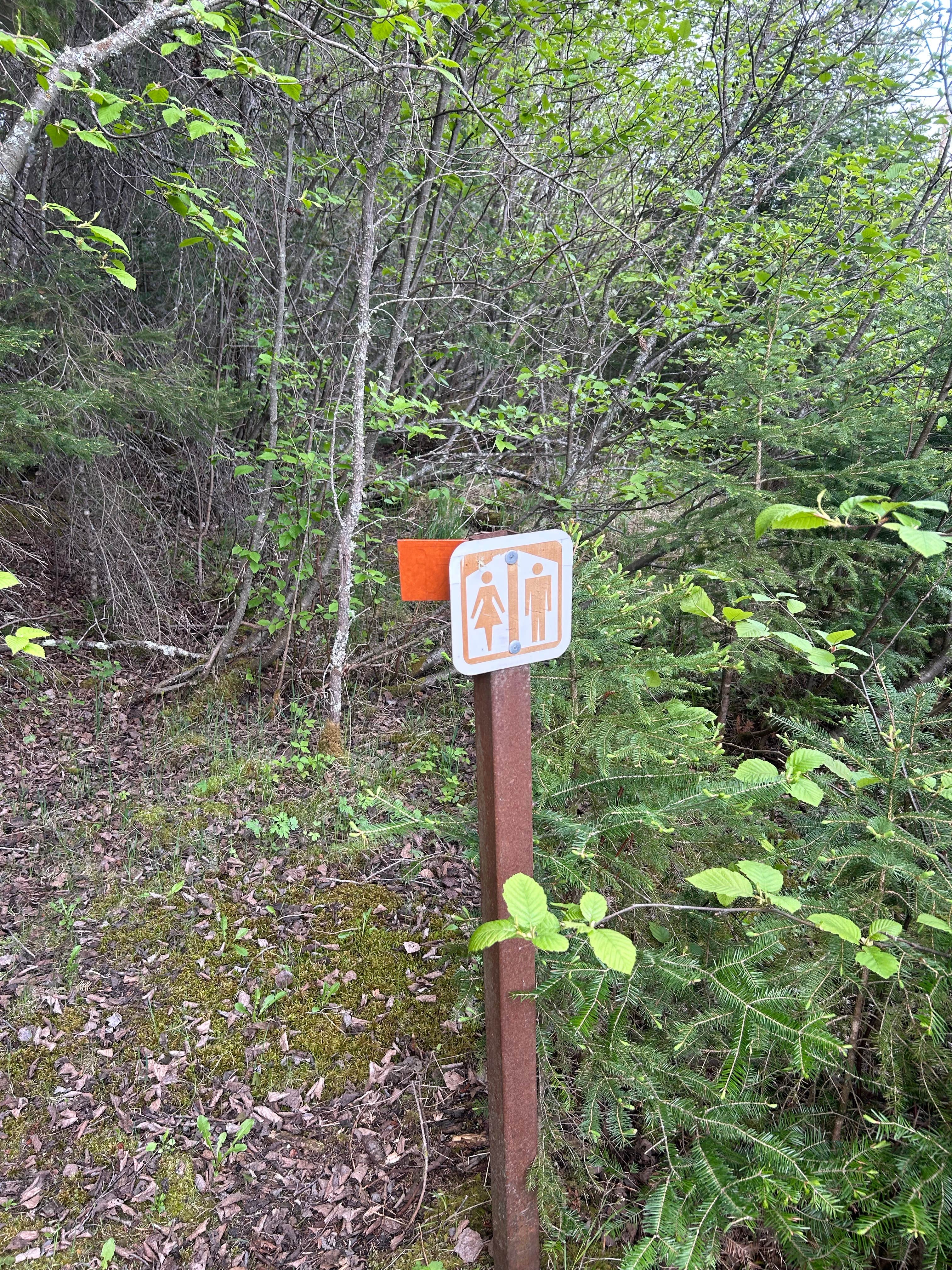 Camper submitted image from Kab-Ash Trail Dispersed Campsites - 3