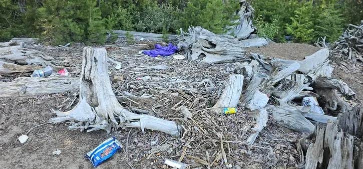 Camping near Salmon la Sac Road Dispersed Camping: Kachess Hidden Camp on Forest Road 4818-101, Easton, Washington