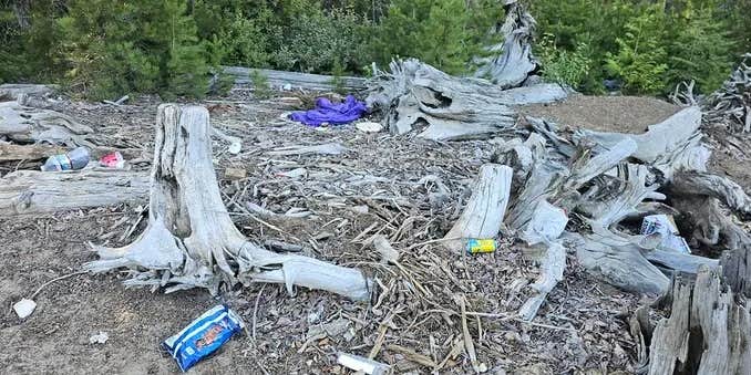 Camper submitted image from Kachess Hidden Camp on Forest Road 4818-101