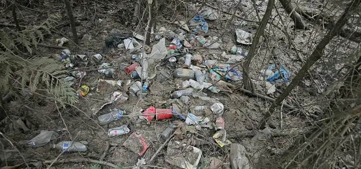 Camper-submitted photo at Kachess Hidden Camp on Forest Road 4818-101 near Roslyn, WA