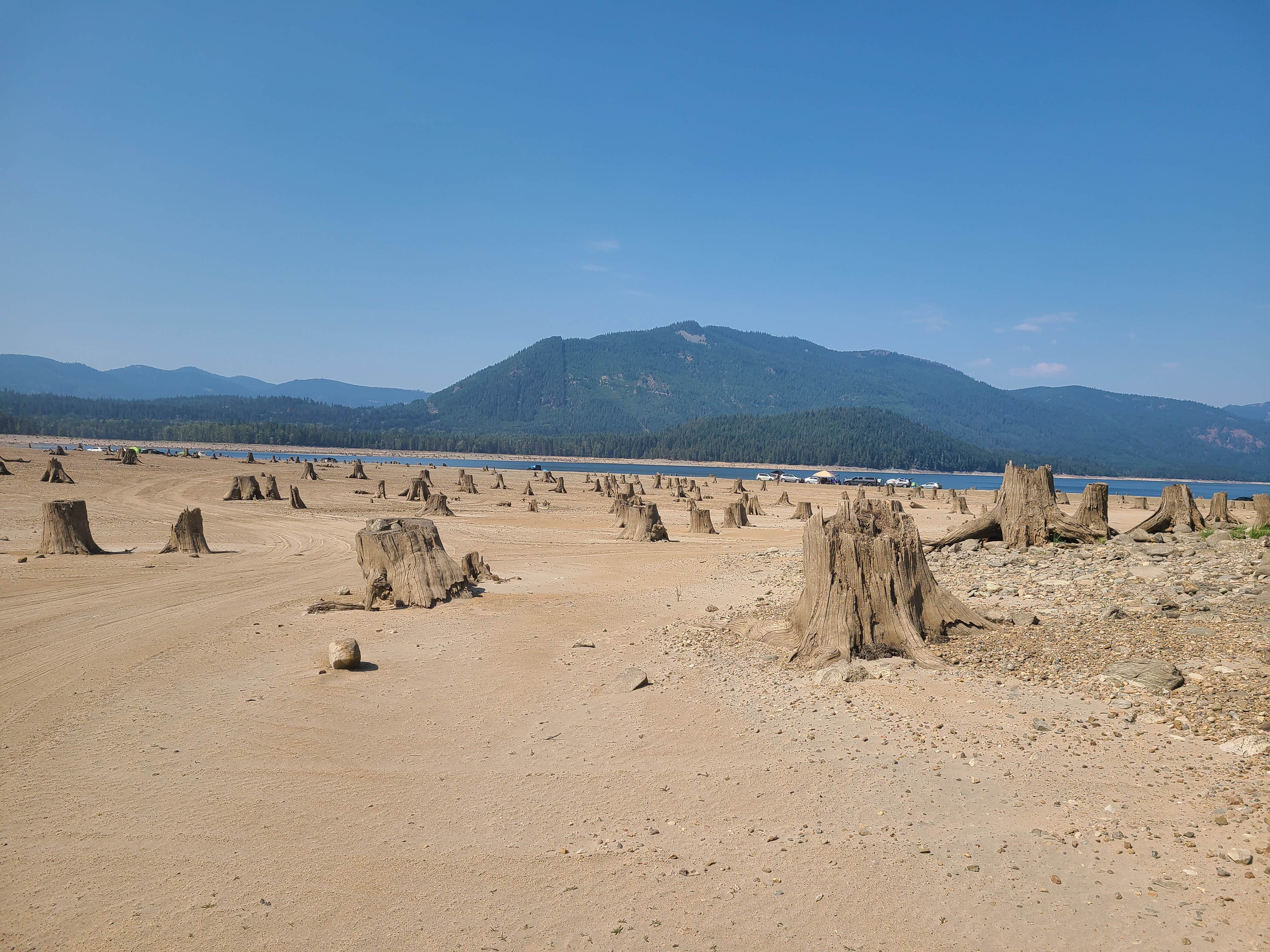 Camper-submitted photo at Kachess Lake Lakebed near Cle Elum, WA