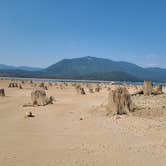 Review photo of Kachess Lake Lakebed by Elena M., September 8, 2025