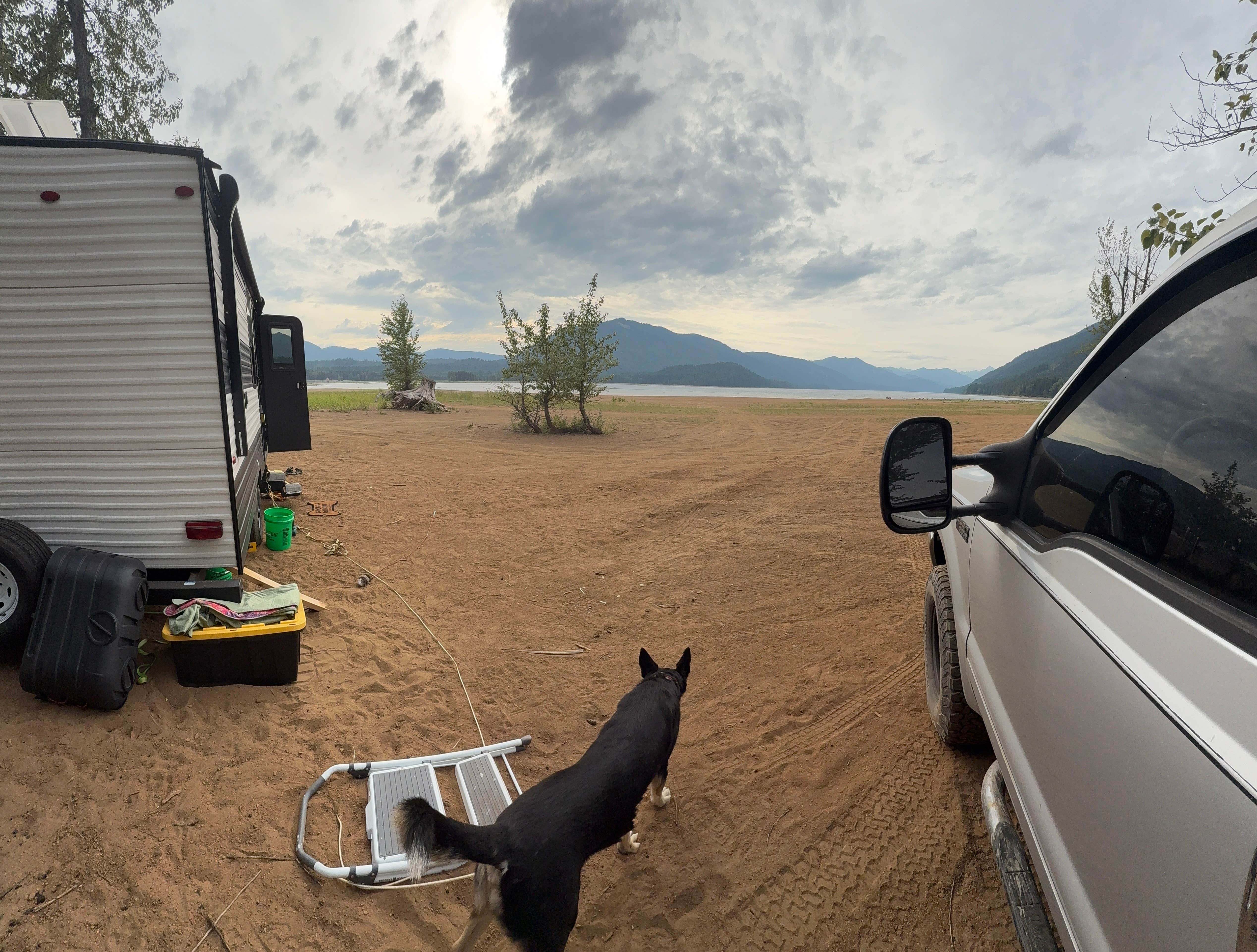 Jonathan T.'s photo of camping with pets at Kachess Lake Lakebed near Greenwater, WA