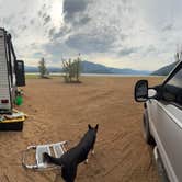 Review photo of Kachess Lake Lakebed by Jonathan T., June 25, 2025