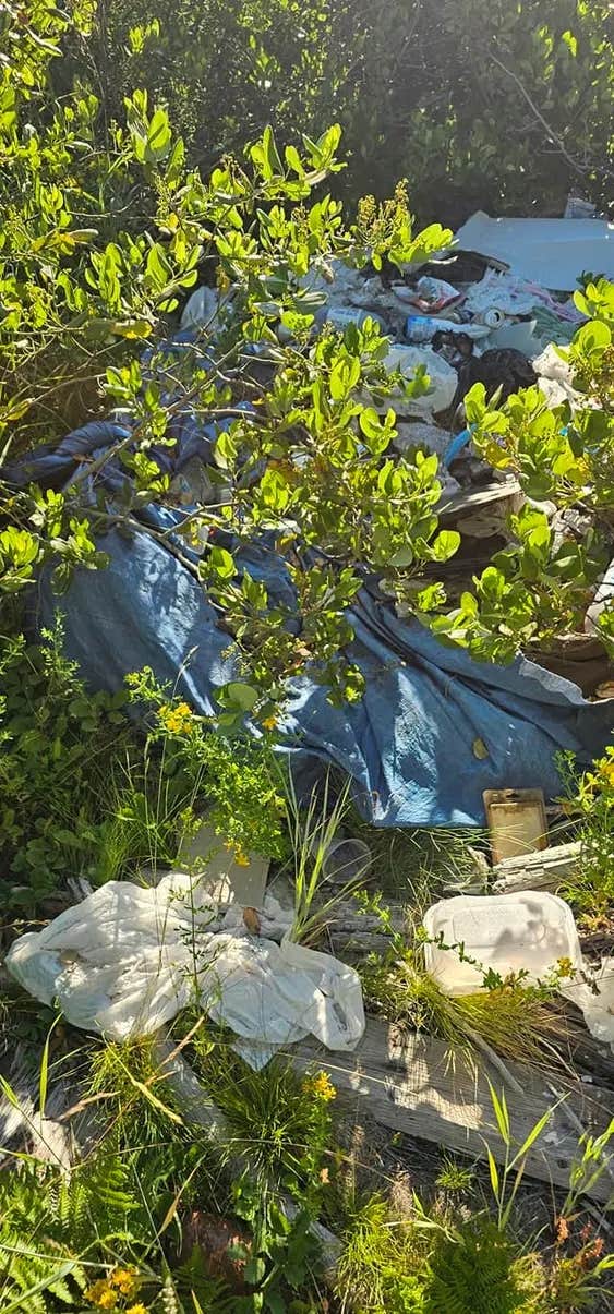 Camper-submitted photo at Kachess Lake Lakebed near Cle Elum, WA