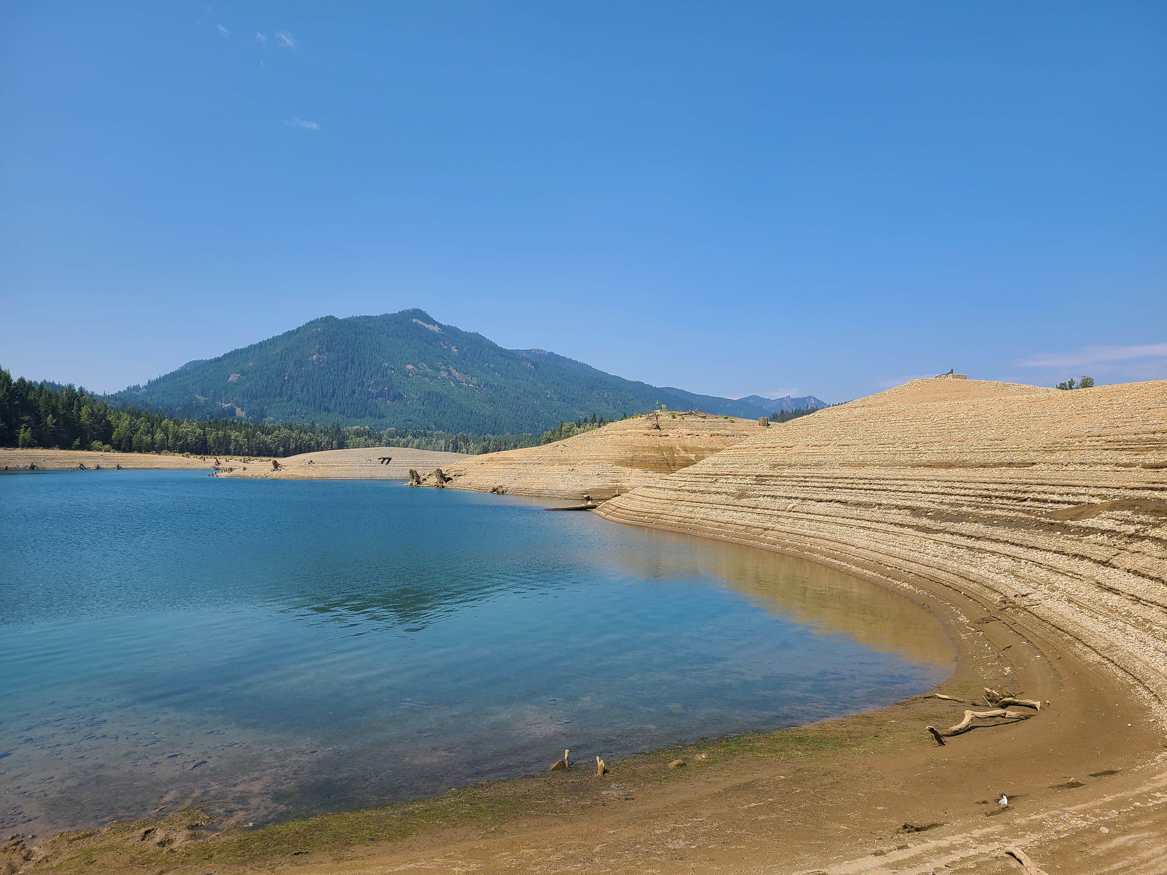 Elena M.'s photo of a dispersed camping area at Kachess Lake Lakebed near Gold Bar, WA