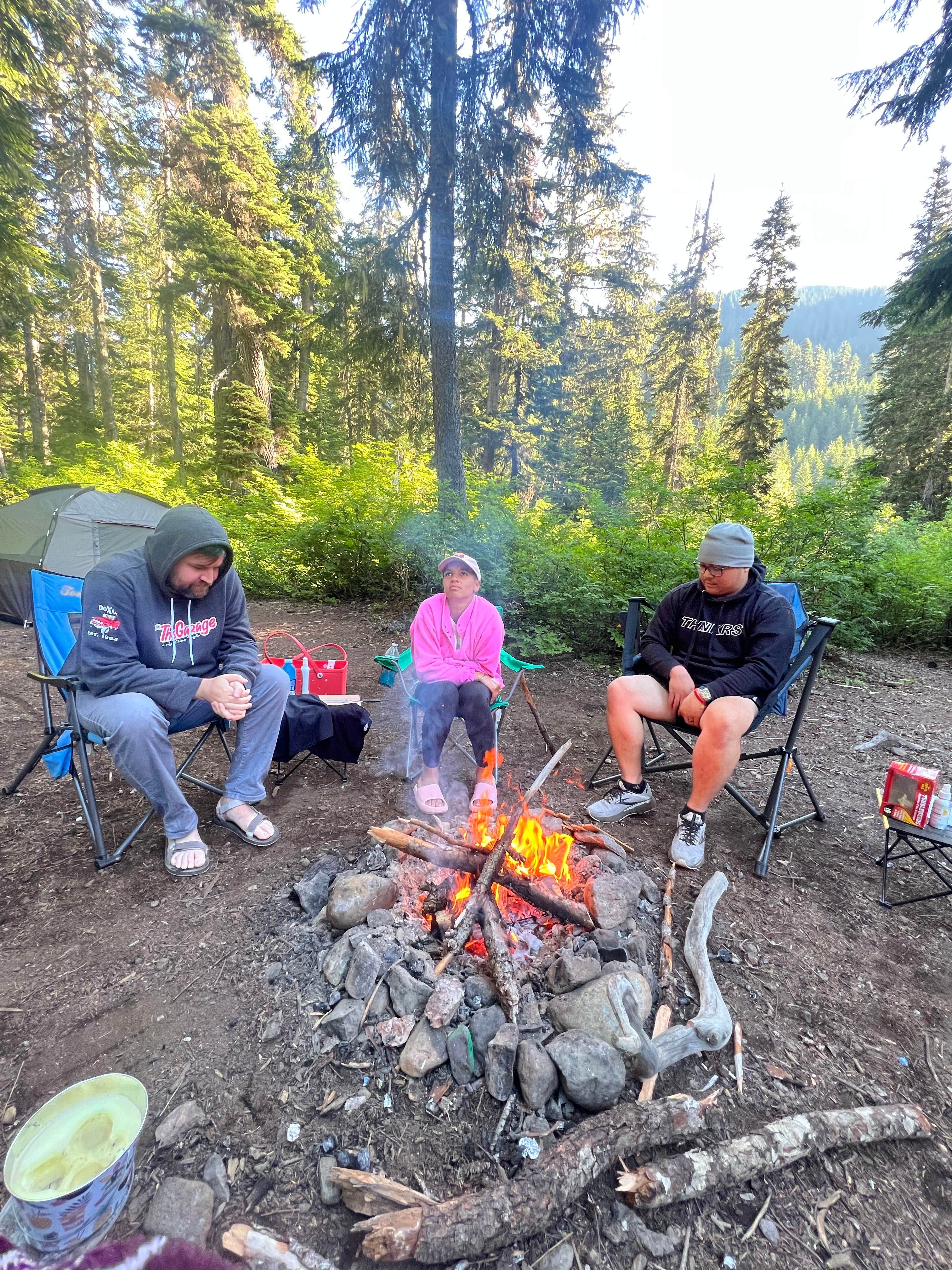 Camper submitted image from Kachess Lake Logging Road Campsites - 1