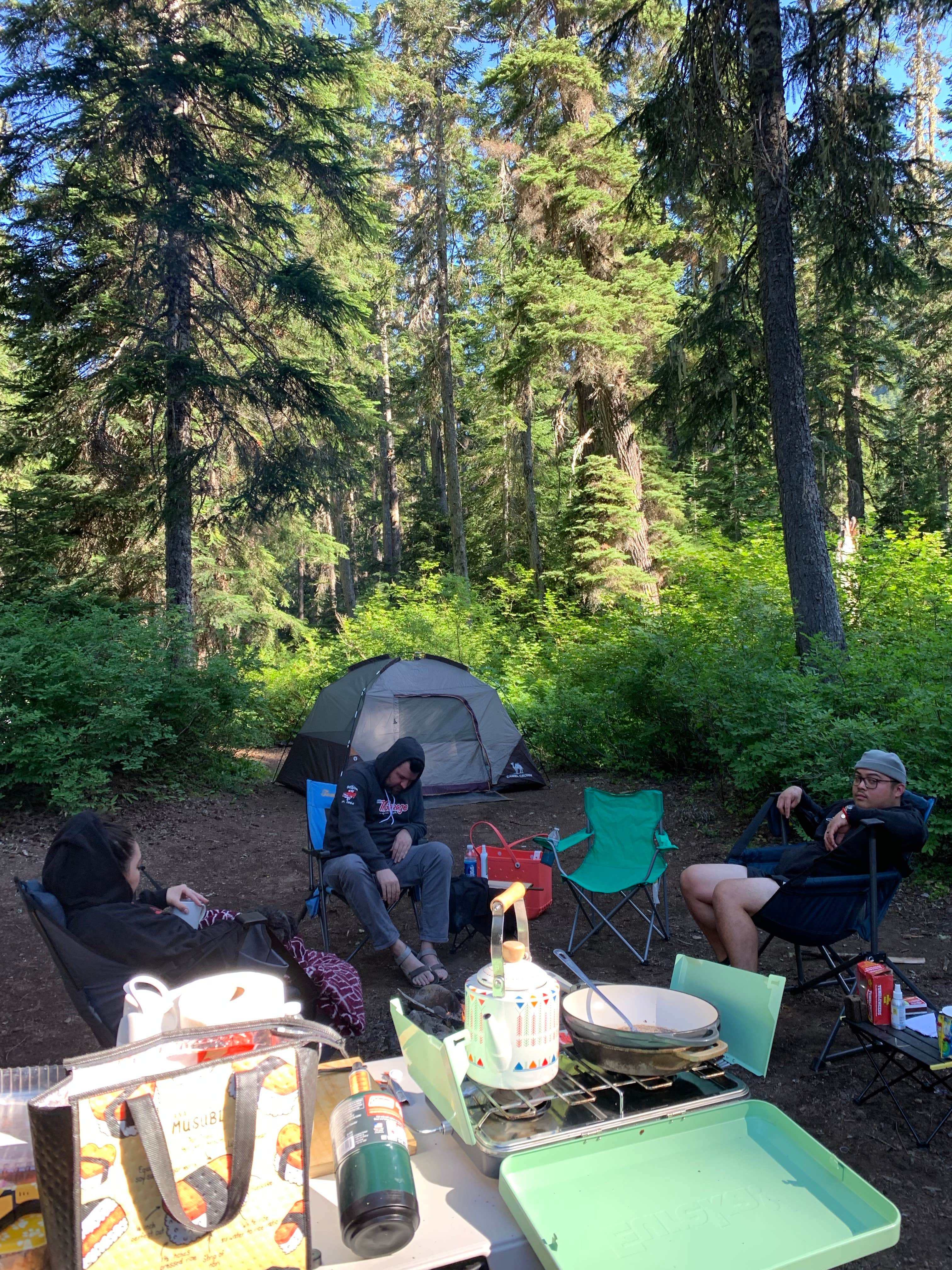 Camper submitted image from Kachess Lake Logging Road Campsites - 5